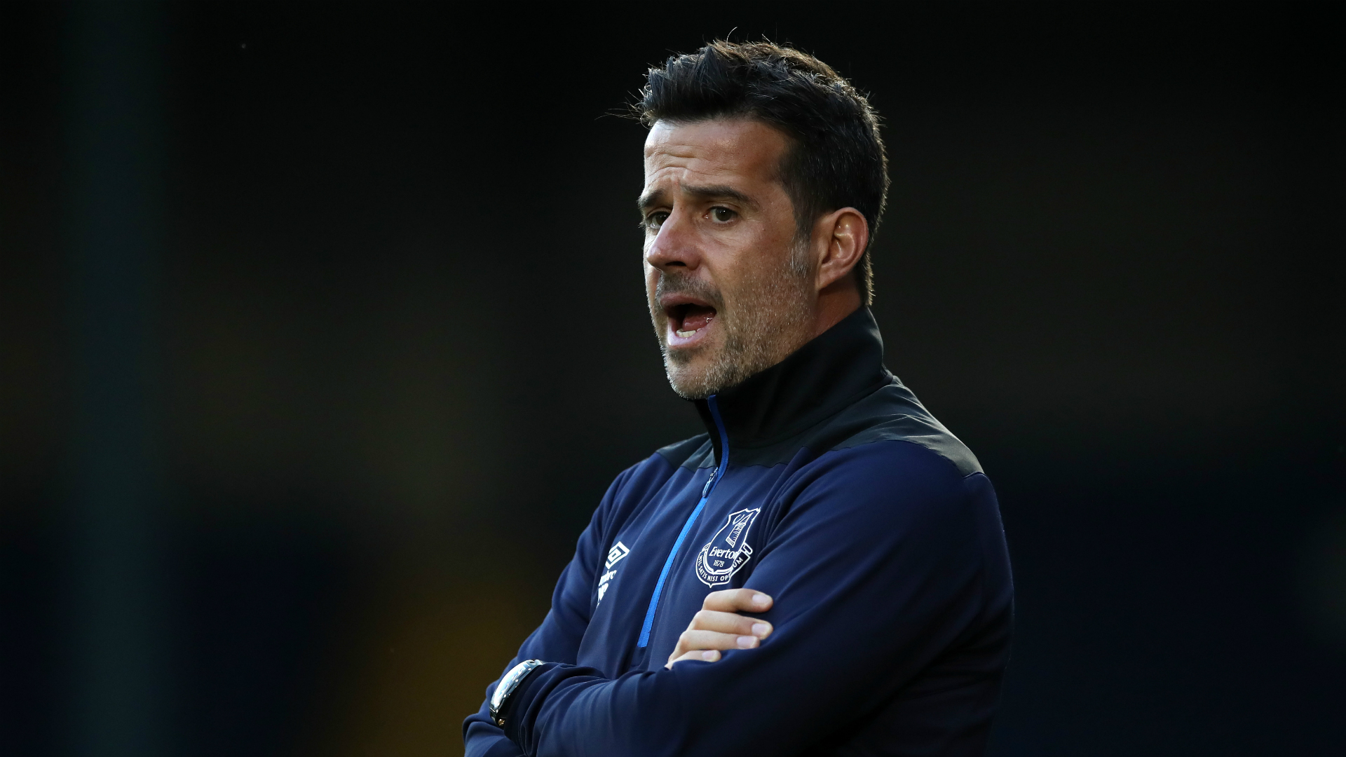 球迷们可以 球迷们可以