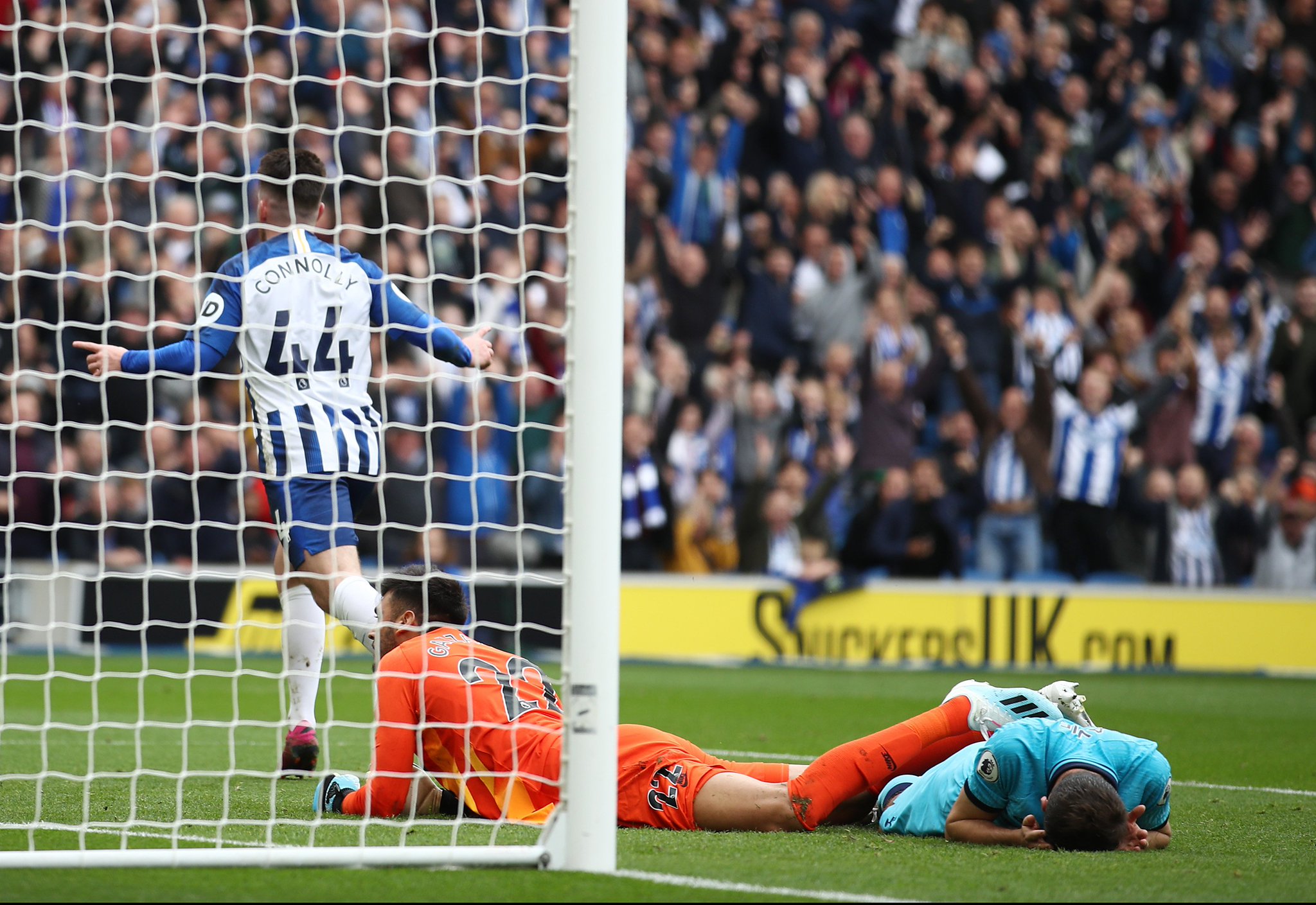 奇的兴趣 奇的兴趣