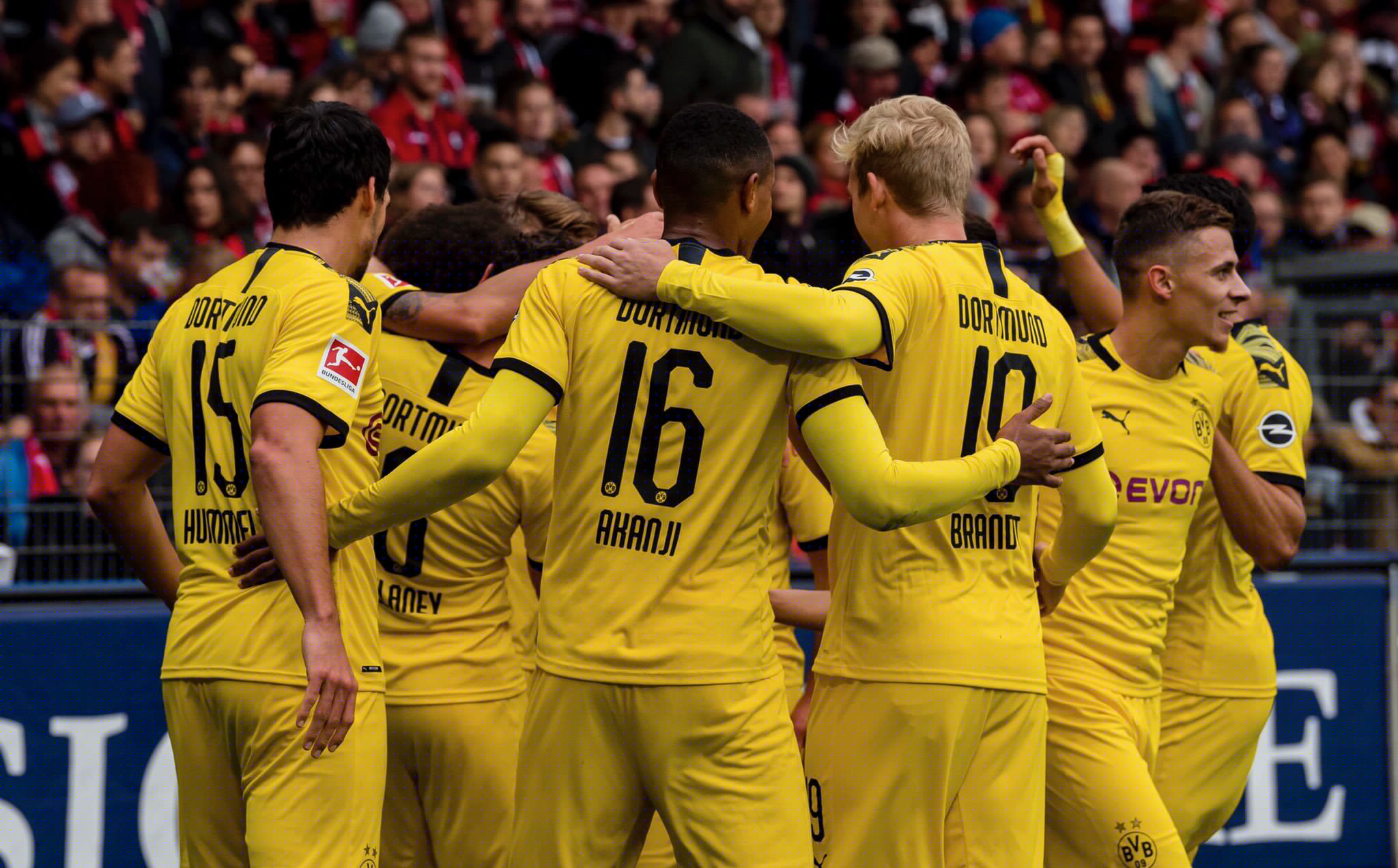 明星往往意 明星往往意